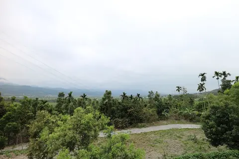 台東關山桃花心木景觀民宿 照片 2