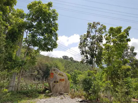台東關山桃花心木景觀民宿 9