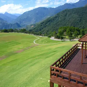 台東山線台九線旅遊景點[高台茶園]
