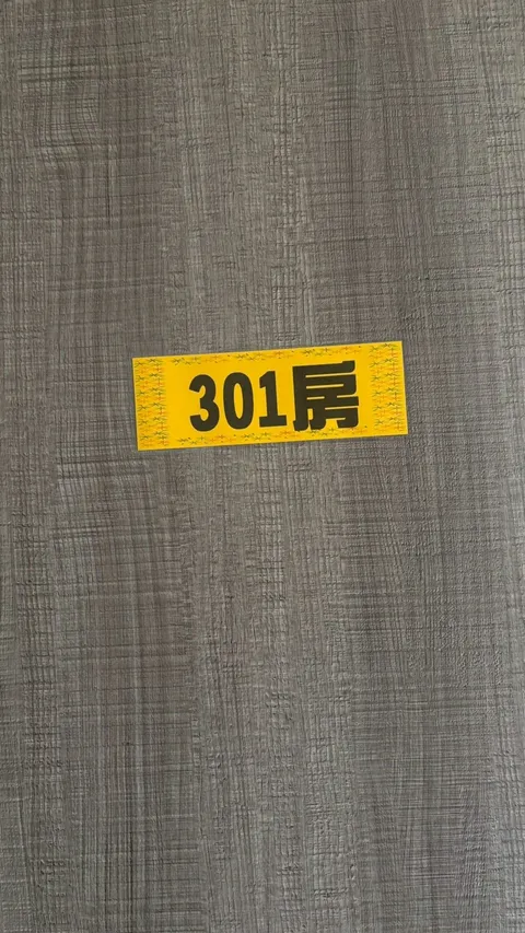 米霏民宿 301