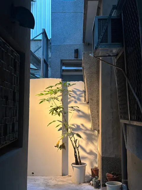遊牧樹舍