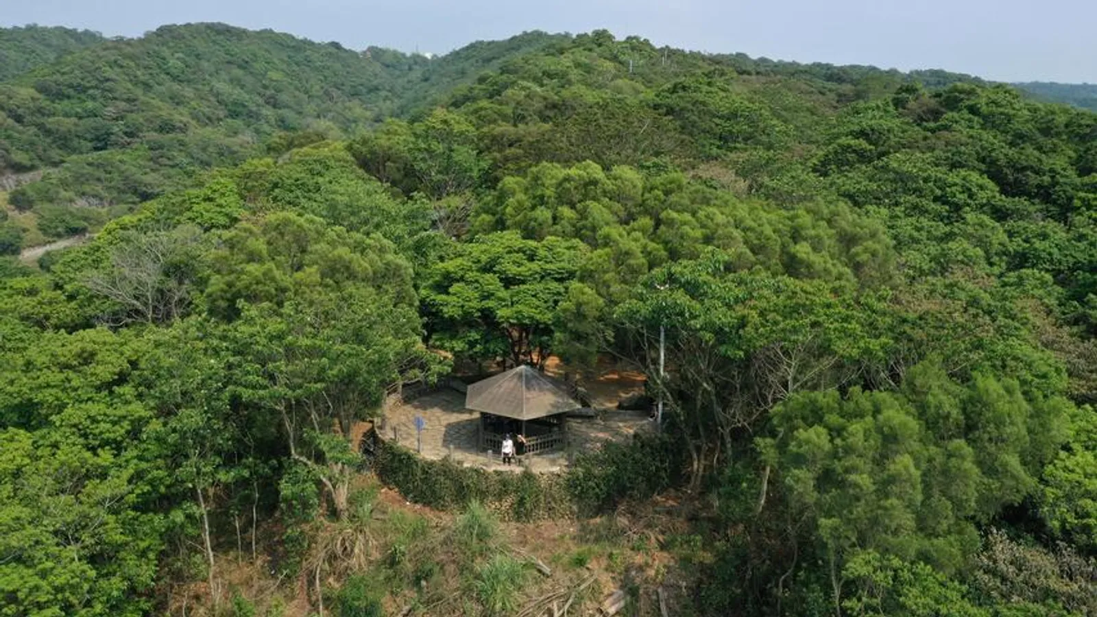 員林市景點:藤山步道