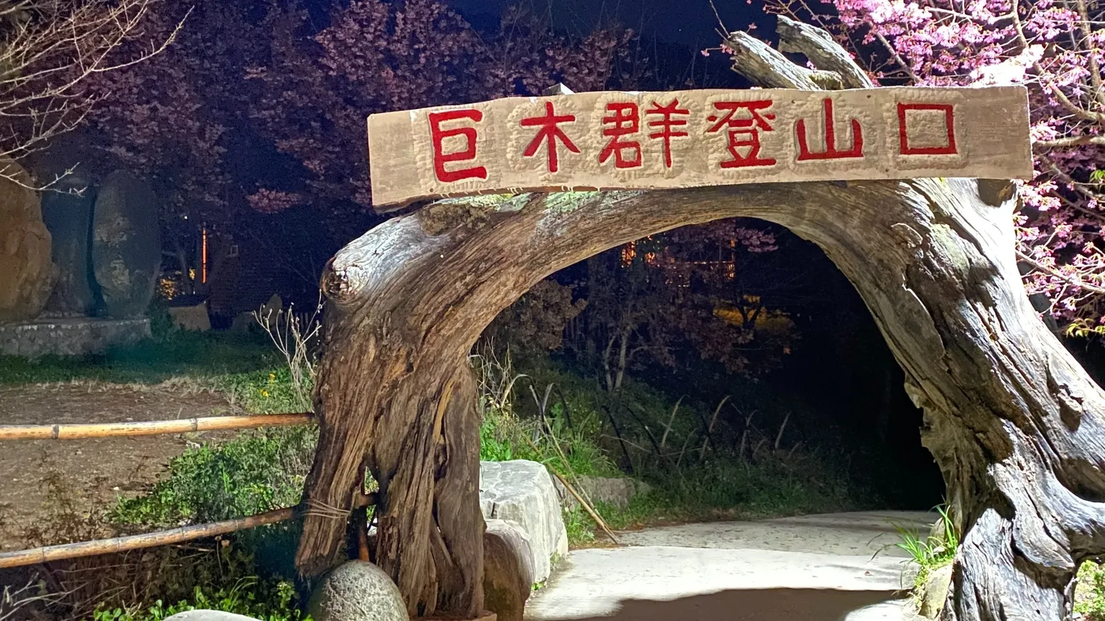 尖石景點:司馬庫斯巨木群步道