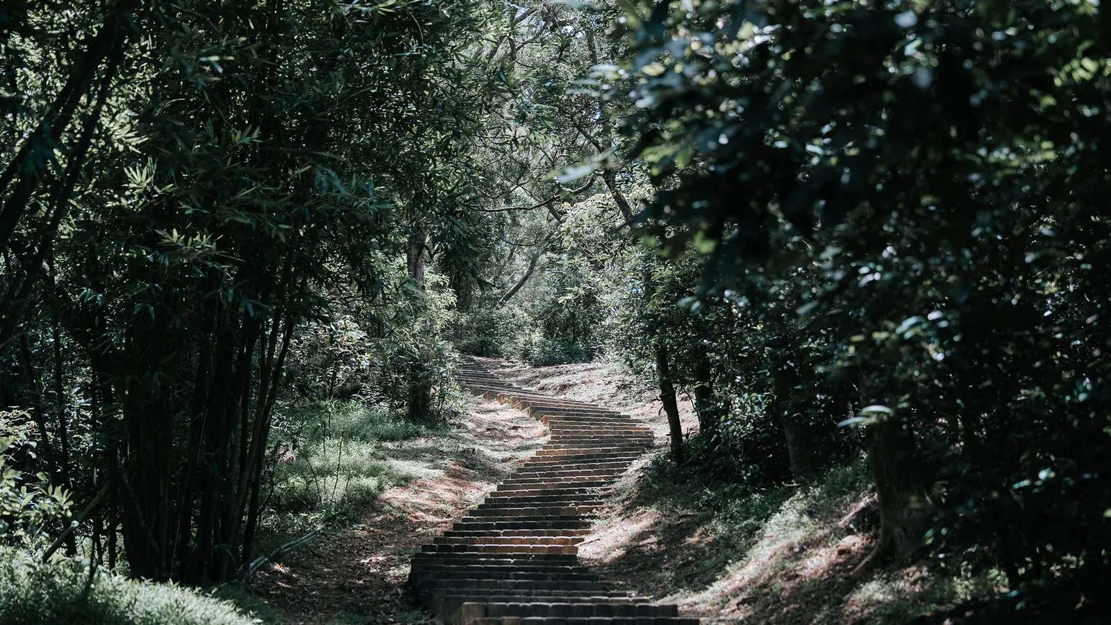 新埔景點:文山步道