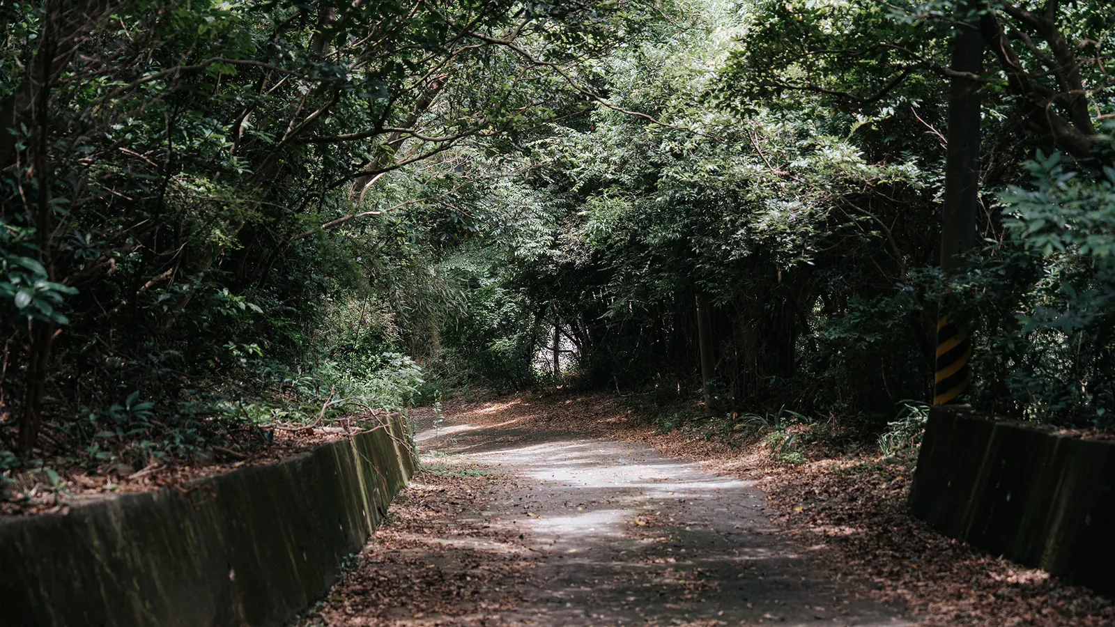 湖口景點:漢卿步道
