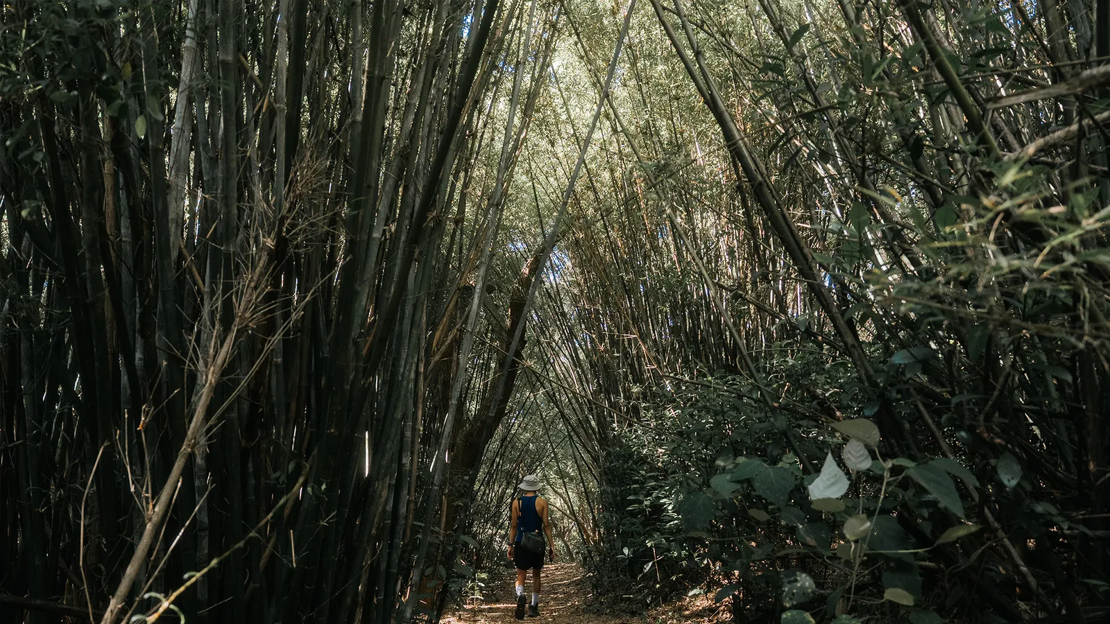 芎林景點:三段崎古道
