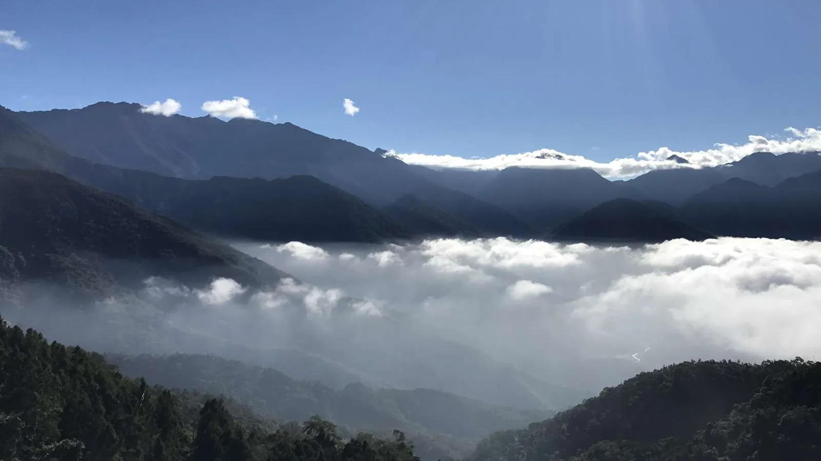 桃源景點：藤枝國家森林遊樂區