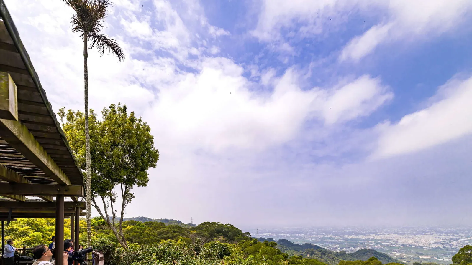 南投市景點:橫山賞鷹平台
