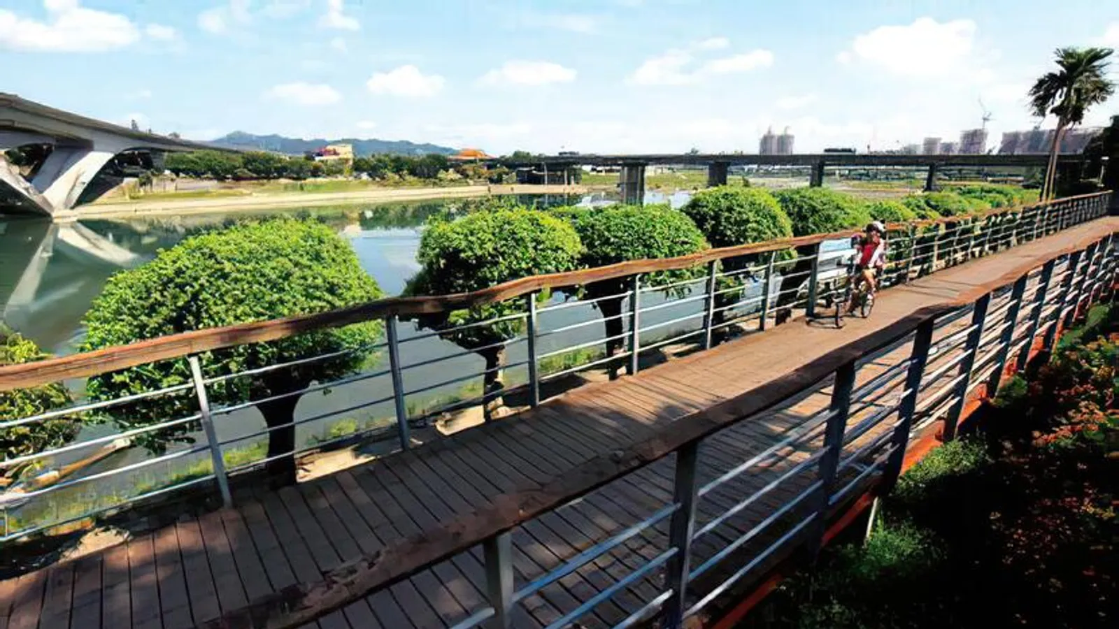 新店景點:新店溪自行車道