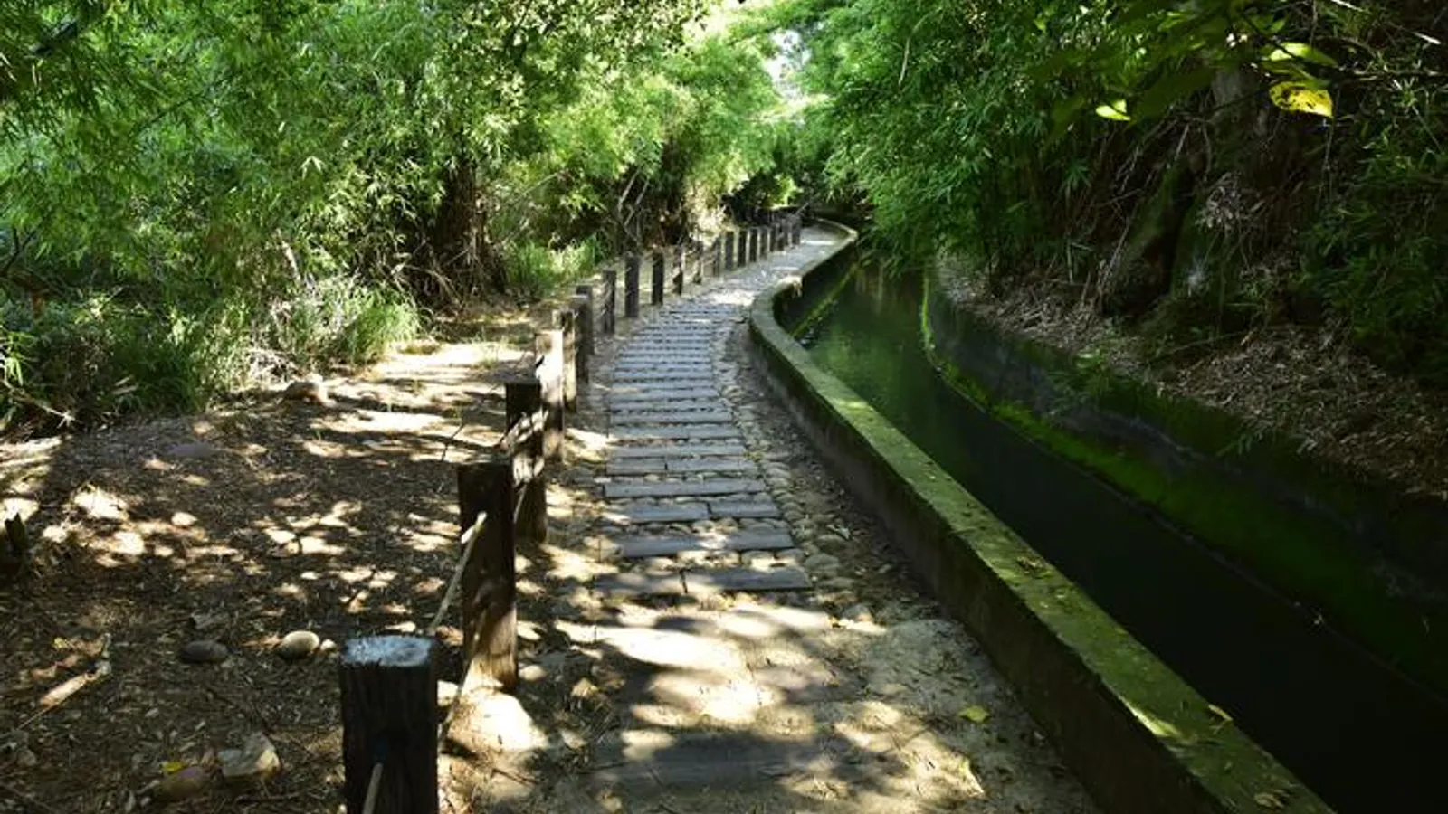 烏日景點：知高圳步道
