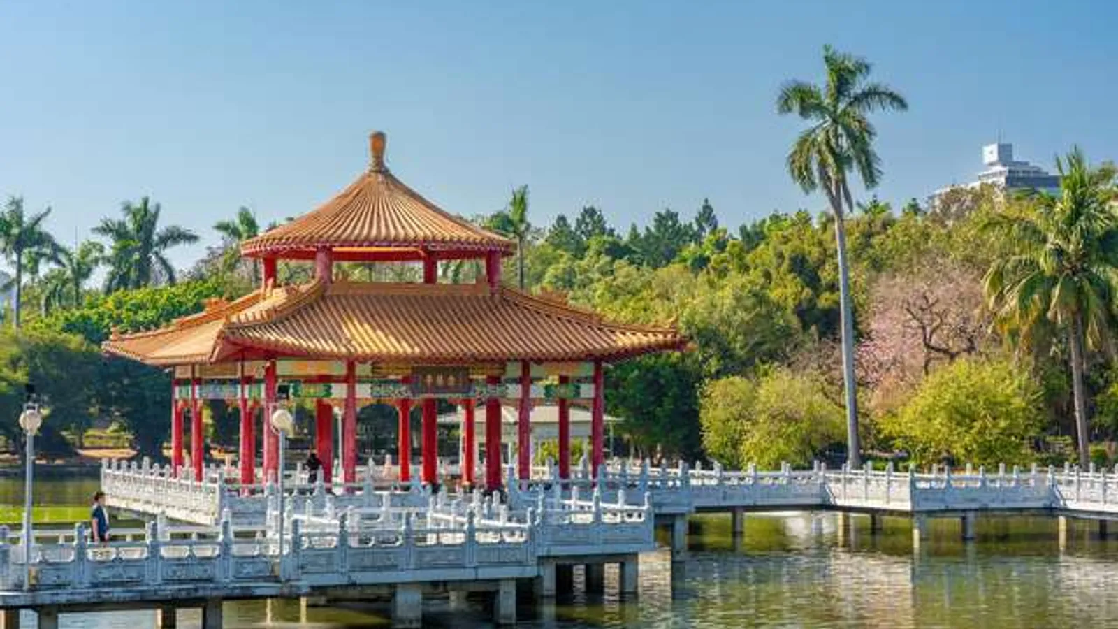 台南北區景點:台南公園(羊蹄甲林)、台南苦楝花(知事官邸)