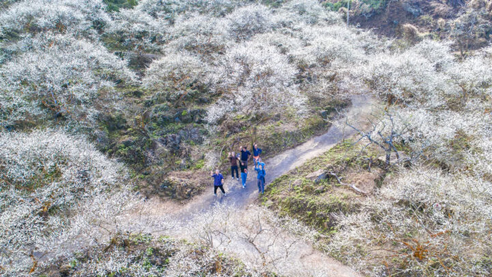 楠西景點:梅嶺風景區
